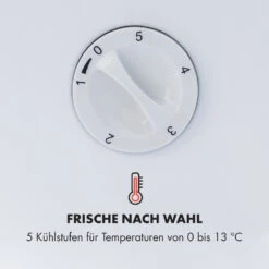 Beersafe L Crystal White Kühlschrank 47 Ltr 2 Böden Glastür Edelstahl 13 Beersafe L Crystal White Kühlschrank 47 Ltr 2 Böden Glastür Edelstahl -Haushaltsgeräte 10033121 de 0005 logo