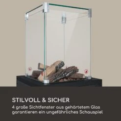 Flagranti Crystal View Gasheizstrahler 8kW Edelstahl 12 Flagranti Crystal View Gasheizstrahler 8kW Edelstahl -Haushaltsgeräte 10035093 de 0005 logo