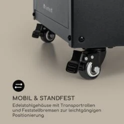 Flagranti Crystal View Gasheizstrahler 8kW Edelstahl 15 Flagranti Crystal View Gasheizstrahler 8kW Edelstahl -Haushaltsgeräte 10035093 de 0008 logo