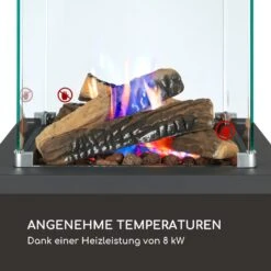 Flagranti Crystal View Gasheizstrahler 8kW Edelstahl 11 Flagranti Crystal View Gasheizstrahler 8kW Edelstahl -Haushaltsgeräte 10035094 de 0003 logo