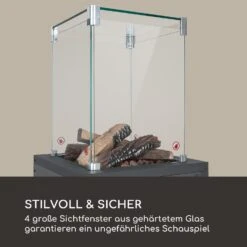 Flagranti Crystal View Gasheizstrahler 8kW Edelstahl 13 Flagranti Crystal View Gasheizstrahler 8kW Edelstahl -Haushaltsgeräte 10035094 de 0005 logo