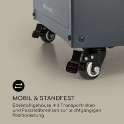 Flagranti Crystal View Gasheizstrahler 8kW Edelstahl 16 Flagranti Crystal View Gasheizstrahler 8kW Edelstahl -Haushaltsgeräte 10035094 de 0008 logo