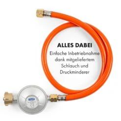 Goldflame Domino Gaskochfeld 2-flammig Messing-Brenner Glaskeramik -Haushaltsgeräte 10035498 de 0009 logo