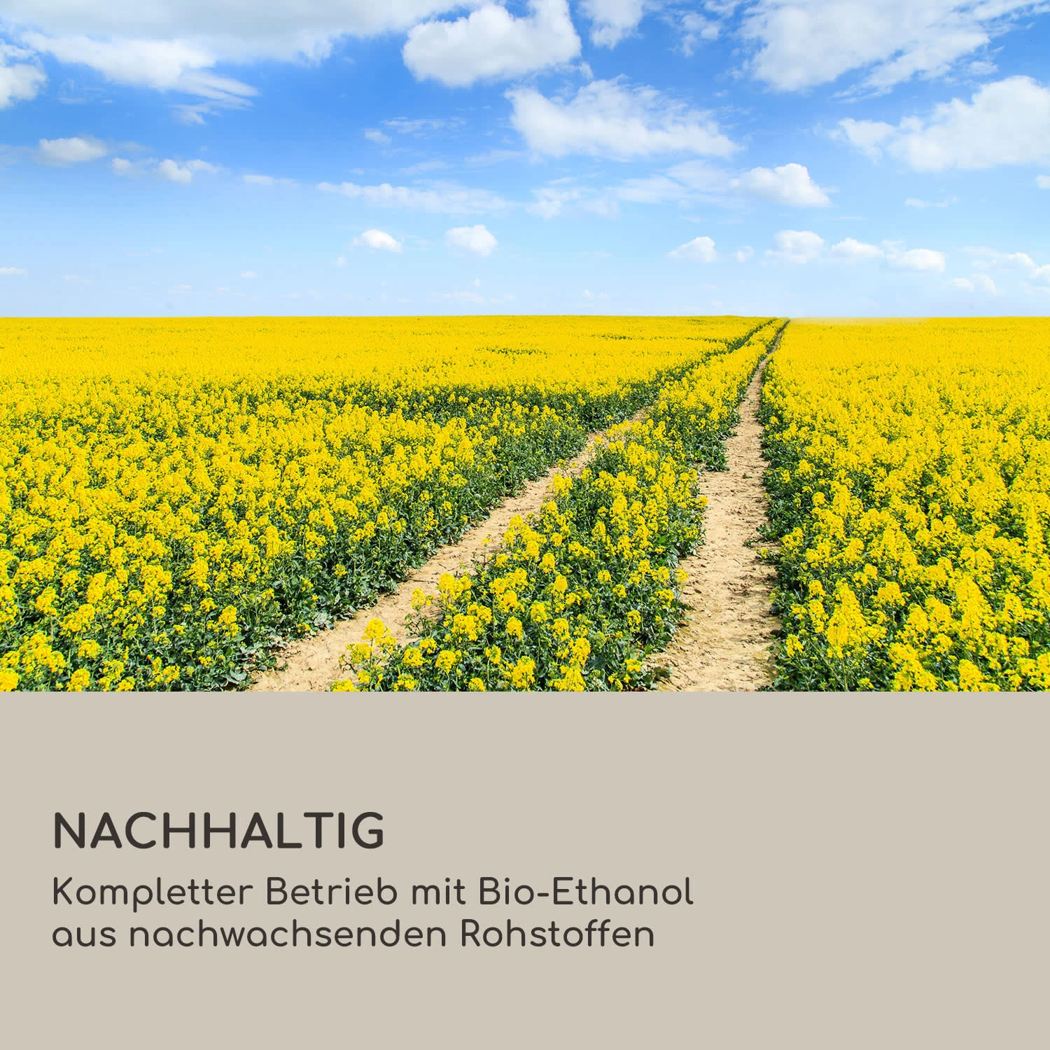 Firetower Ethanol-Kamin Sicherheitsbrenner 250 Ml / 1,5 H Löschhilfe Flammenschutz 7 Firetower Ethanol-Kamin Sicherheitsbrenner 250 Ml / 1,5 H Löschhilfe Flammenschutz – Bild 7