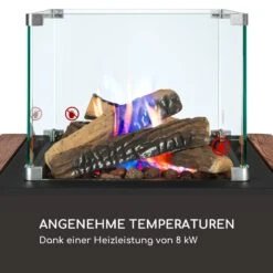 Flagranti Plus Gasheizstrahler 8kW Seitentische Edelstahl 6 13 Flagranti Plus Gasheizstrahler 8kW Seitentische Edelstahl 6 -Haushaltsgeräte 10035836 de 0004 logo