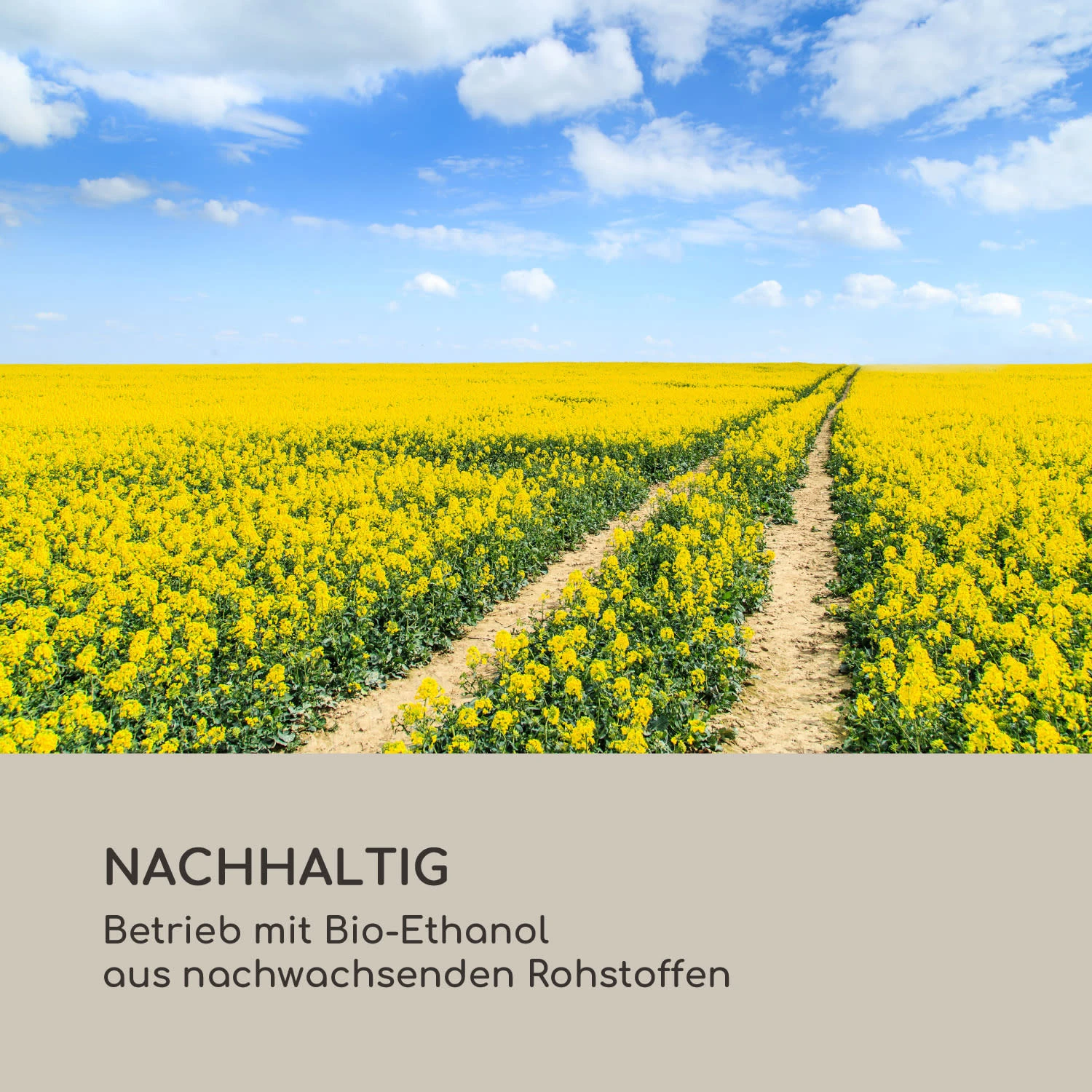 Fiamme Tamburo Ethanol-Kamin Edelstahl-Brenner 0,8Ltr 4-5 H Brenndauer 9 Fiamme Tamburo Ethanol-Kamin Edelstahl-Brenner 0,8Ltr 4-5 H Brenndauer – Bild 9