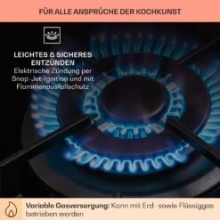 Alchemist Gaskochfeld 1 Wokbrenner Glaskeramik -Haushaltsgeräte 10036335 de 0005 usp