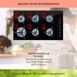 Trifecta 6 Gaskochfeld 6-flammig Gusseisen Glaskeramik -Haushaltsgeräte 10039422 de 0003 usp